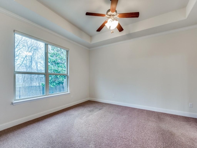 carpeted spare room featuring crown molding, a raised ceiling, and ceiling fan