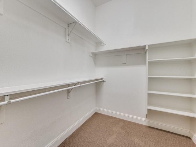 walk in closet featuring light carpet