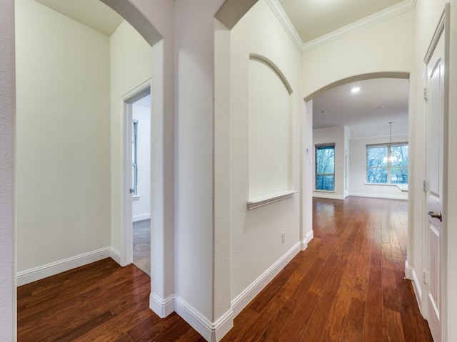 hallway featuring crown molding and dark hardwood / wood-style floors