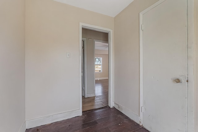 hallway with dark hardwood / wood-style floors