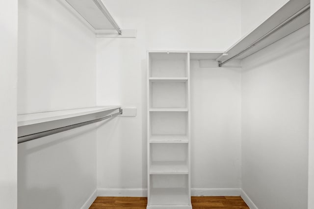 walk in closet featuring wood-type flooring