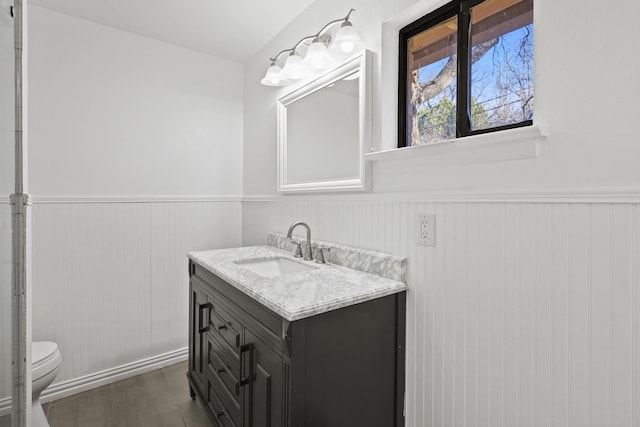 bathroom with vanity, wood-type flooring, and toilet