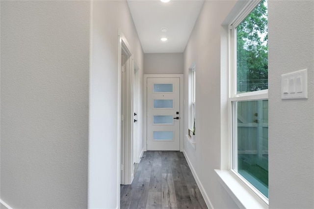 corridor with dark hardwood / wood-style flooring