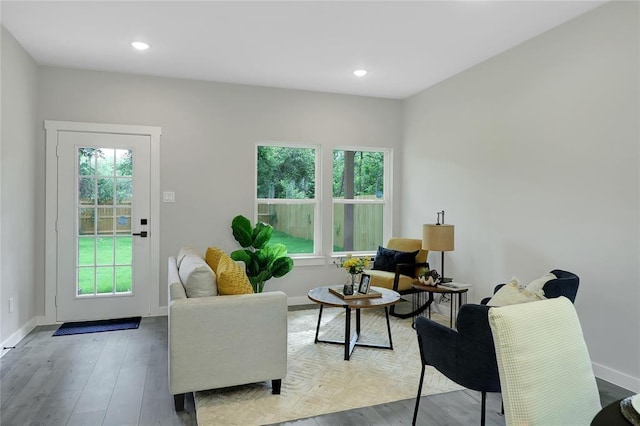 living room featuring light hardwood / wood-style flooring