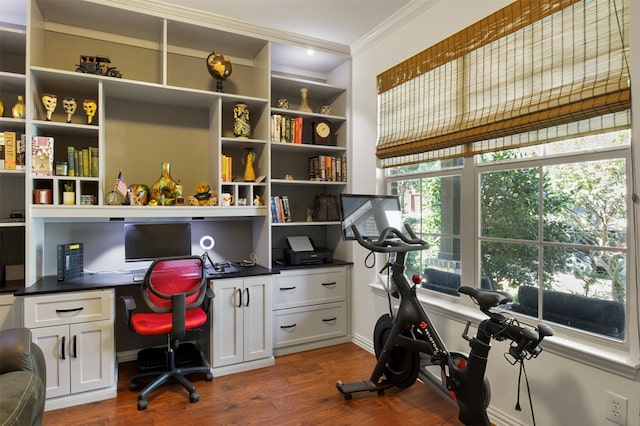 office featuring ornamental molding, dark hardwood / wood-style floors, and built in desk