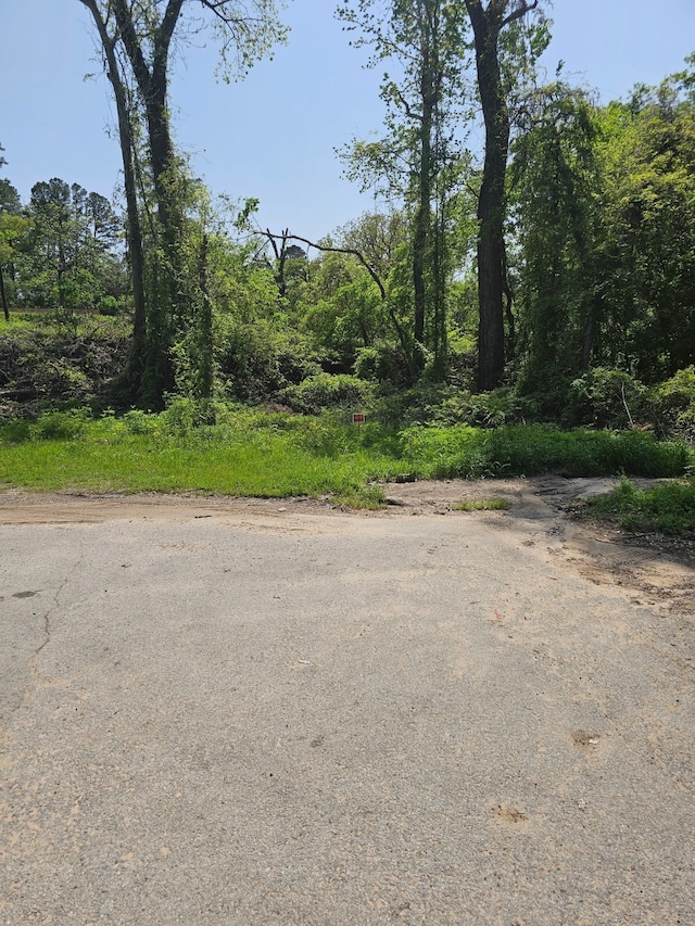 233 Mike Ave, Tyler, TX 75702