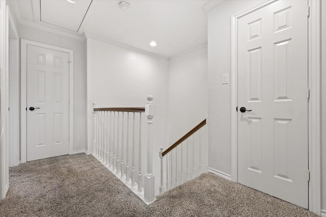 corridor featuring ornamental molding and carpet flooring