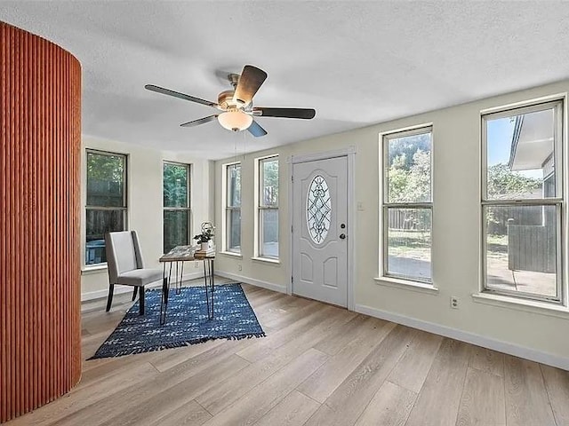 interior space featuring ceiling fan, light hardwood / wood-style floors, and a textured ceiling