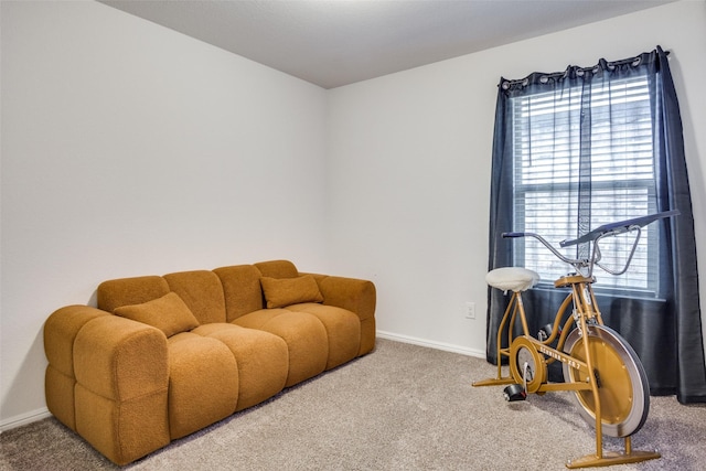 sitting room with carpet