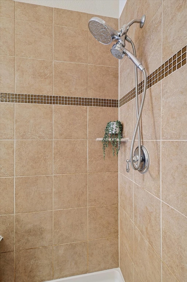 room details with tiled shower