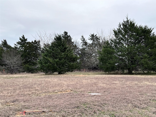 Listing photo 2 for LOT20 La Paloma Cir, Gordonville TX 76245