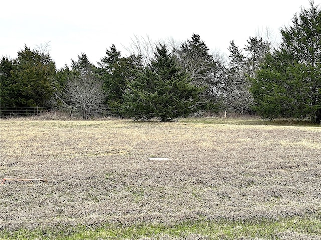 Listing photo 3 for LOT20 La Paloma Cir, Gordonville TX 76245