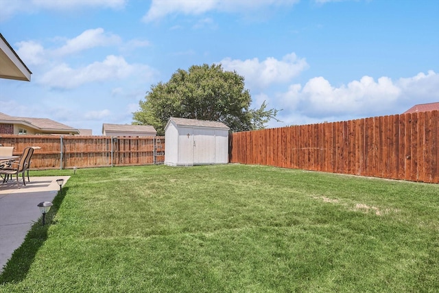 view of yard featuring a patio and a storage unit