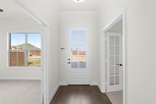 doorway featuring dark hardwood / wood-style flooring, crown molding, and a wealth of natural light