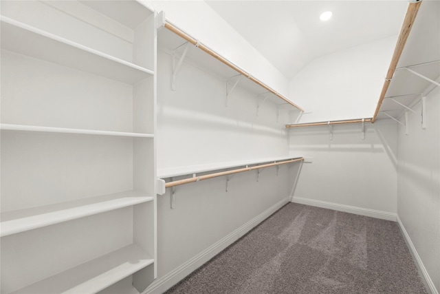 spacious closet with vaulted ceiling and carpet floors