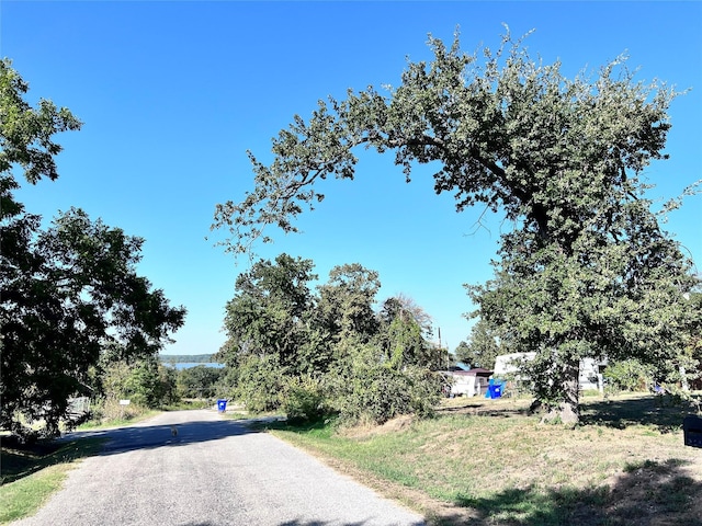 318 Maid Marian Dr, Gordonville TX, 76245 land for sale