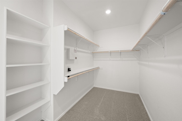 371 Freestall Dr, Midlothian, TX 76065 - spacious closet featuring carpet floors