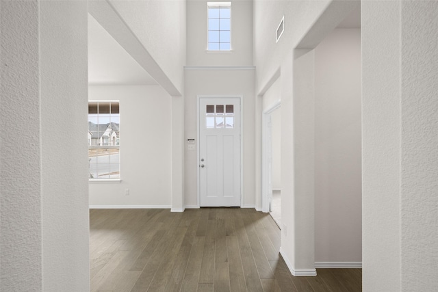 371 Freestall Dr, Midlothian, TX 76065 - entryway featuring wood finished floors, baseboards, and a towering ceiling