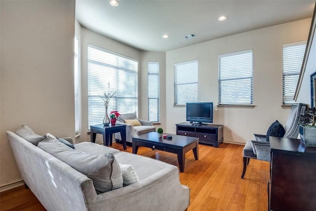 living room featuring light hardwood / wood-style flooring