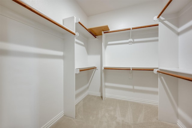 spacious closet with carpet flooring