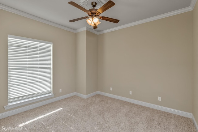 carpeted spare room with ceiling fan and ornamental molding