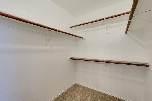 1013 Caleb St, Burleson, TX 76028 - spacious closet with carpet