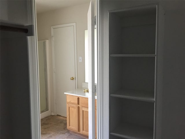 bathroom featuring vanity and an enclosed shower