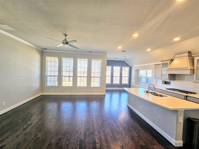 kitchen featuring sink, crown molding, an island with sink, custom exhaust hood, and stainless steel gas stovetop