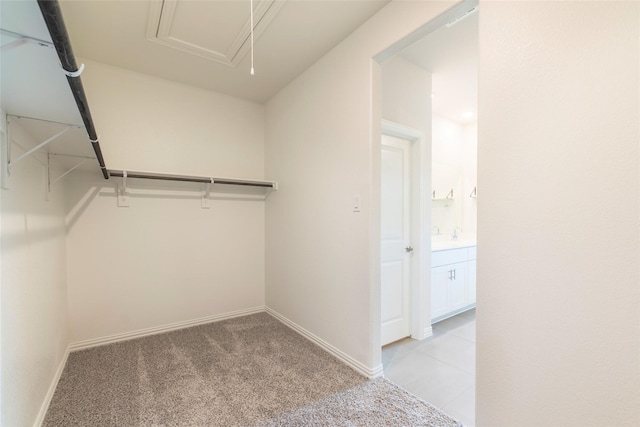 spacious closet featuring attic access and light colored carpet