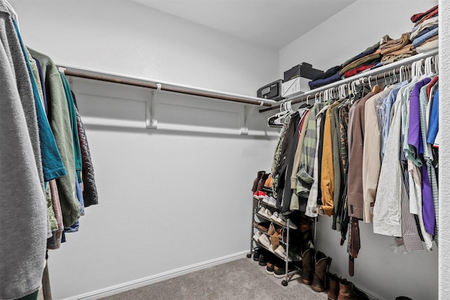 spacious closet featuring carpet