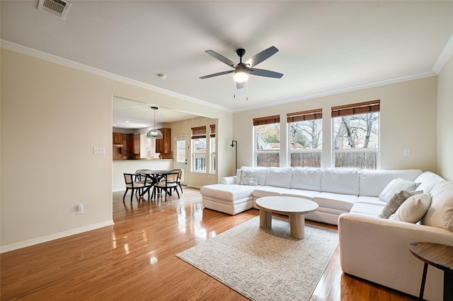 living room featuring ceiling fan, ornamental molding, and light wood-type flooring