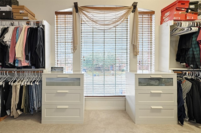 spacious closet with light colored carpet