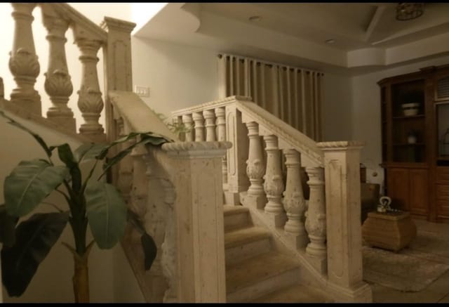 staircase featuring a raised ceiling