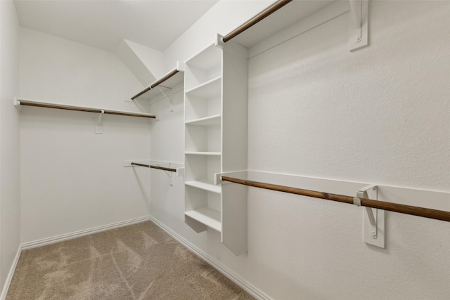 walk in closet featuring light colored carpet