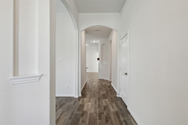 hallway featuring dark hardwood / wood-style flooring