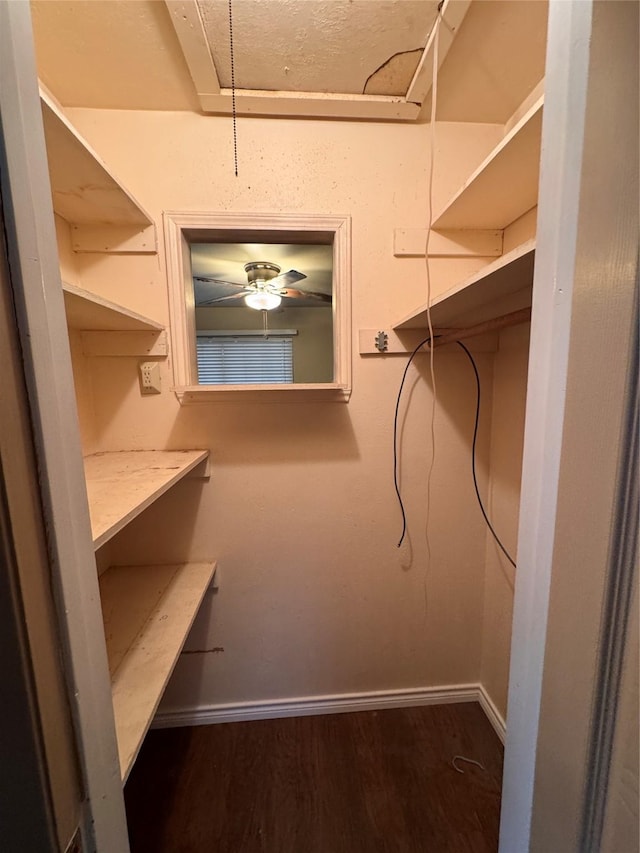 spacious closet featuring dark hardwood / wood-style floors