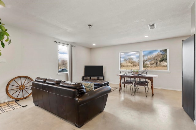 living room with a textured ceiling