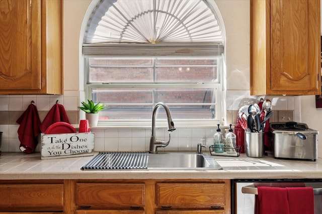 kitchen with sink, backsplash, plenty of natural light, and stainless steel dishwasher