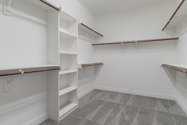 spacious closet featuring dark carpet