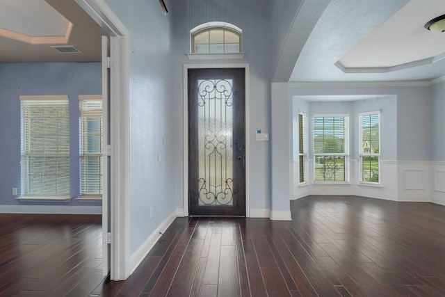 entrance foyer with dark wood-type flooring and a raised ceiling