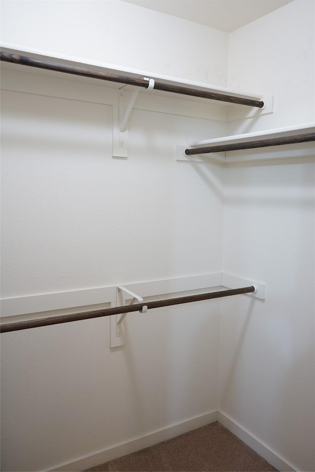 walk in closet with carpet floors