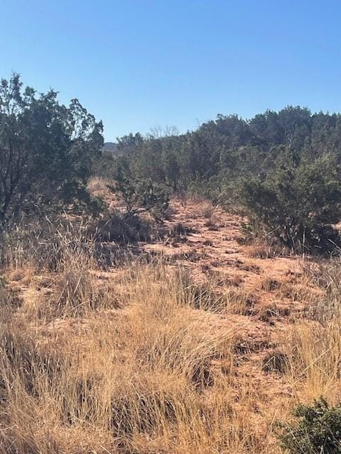 Listing photo 3 for TBD County Road 343, Merkel TX 79536