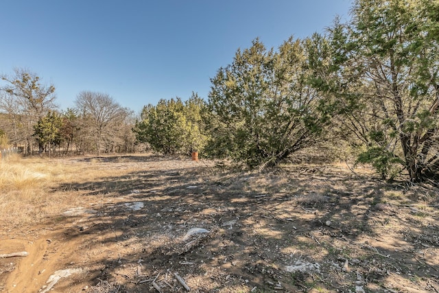 view of local wilderness with a rural view