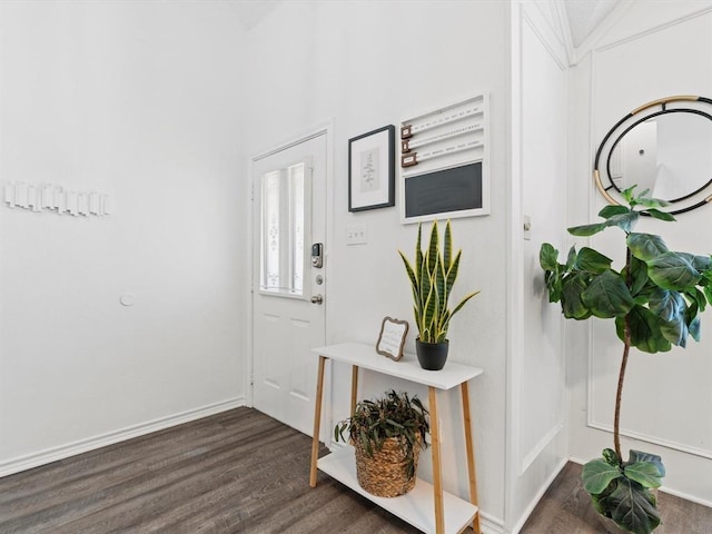 foyer entrance with dark hardwood / wood-style flooring