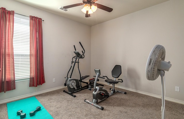 exercise room featuring ceiling fan and carpet