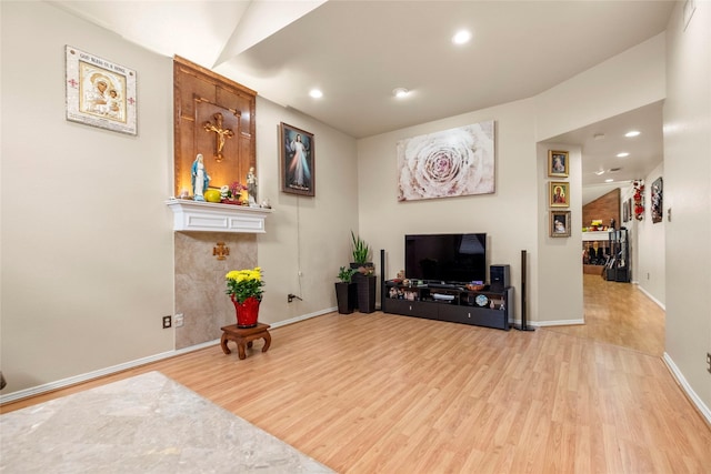 living room featuring a large fireplace and light wood-type flooring