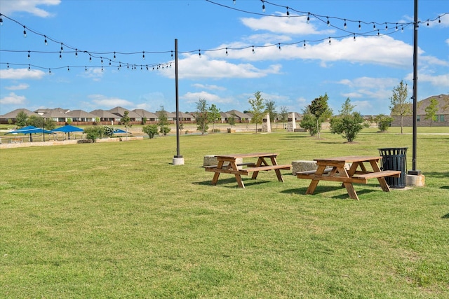 view of community with a lawn