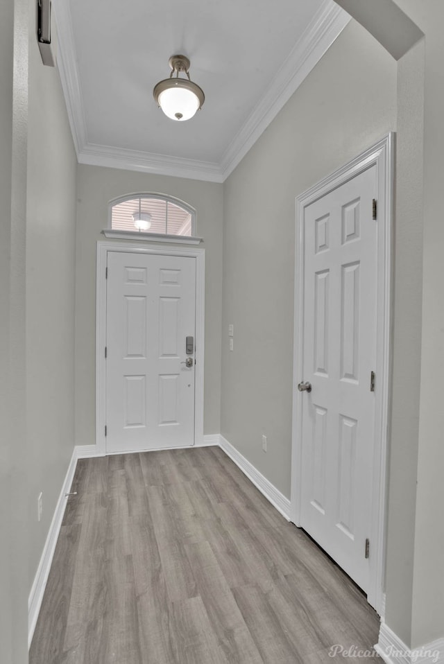 entrance foyer with ornamental molding and light hardwood / wood-style floors