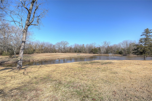 view of yard featuring a water view