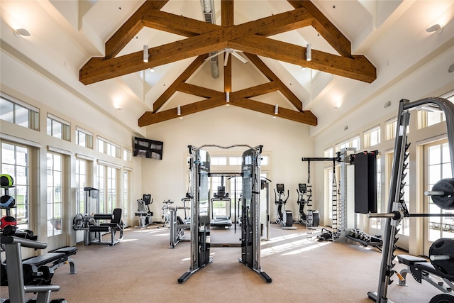 exercise room featuring light colored carpet and high vaulted ceiling